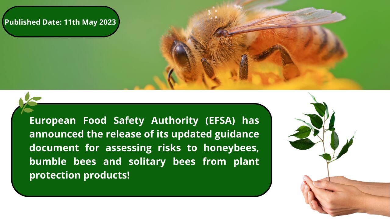Guideline Released for Assessing Risks of Pesticides on Bees
