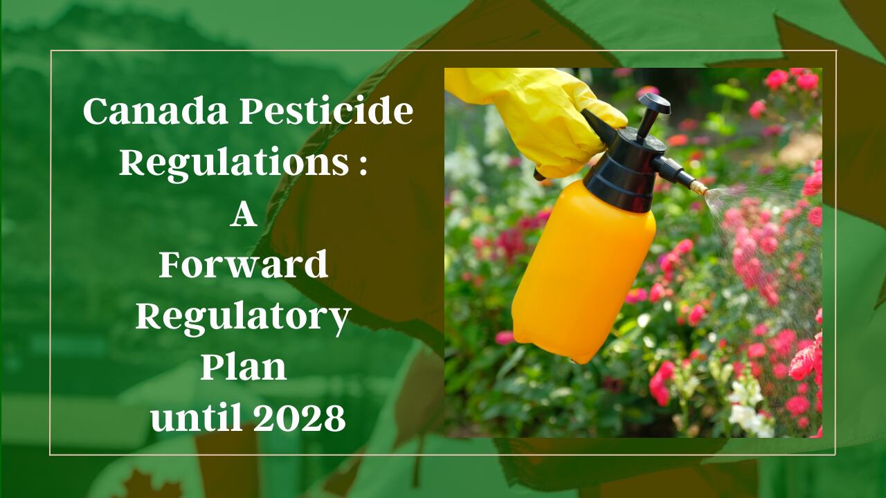 HEALTH CANADA ANNOUNCES FIVE-YEAR WORK PLAN FOR PESTICIDE RE-EVALUATION AND SPECIAL REVIEW