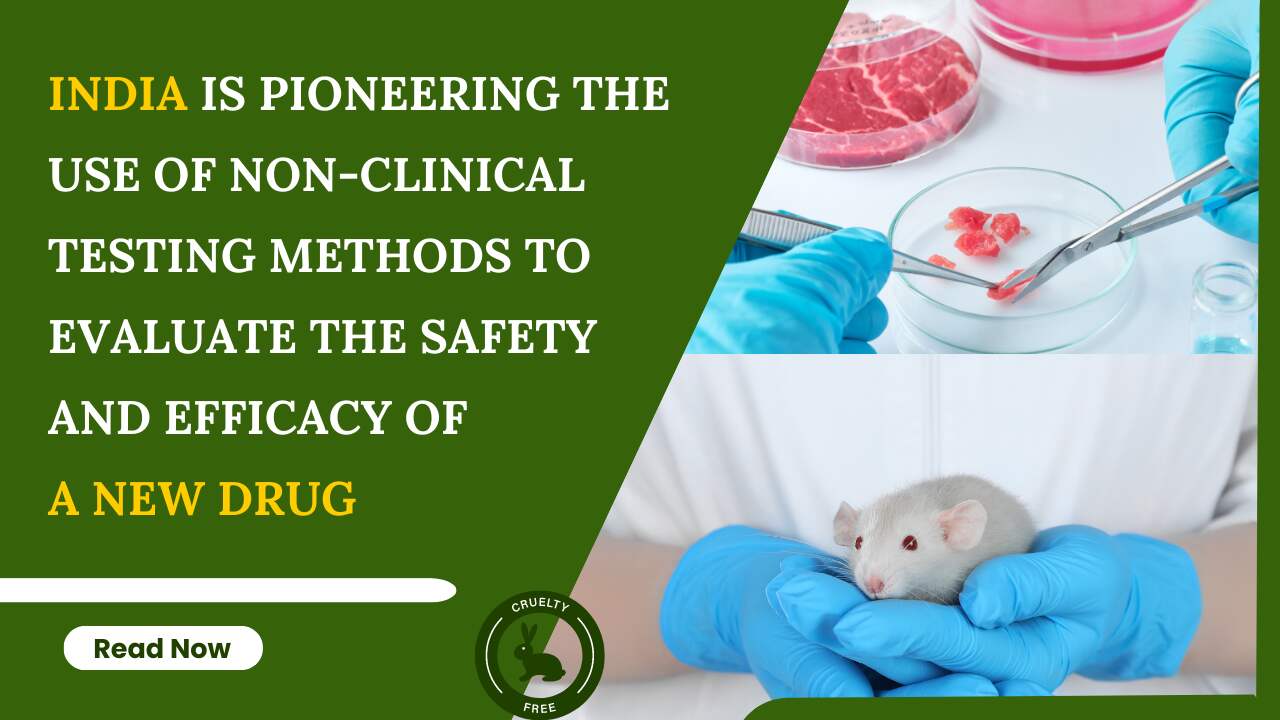 clinical testing methods to evaluate the safety and efficacy