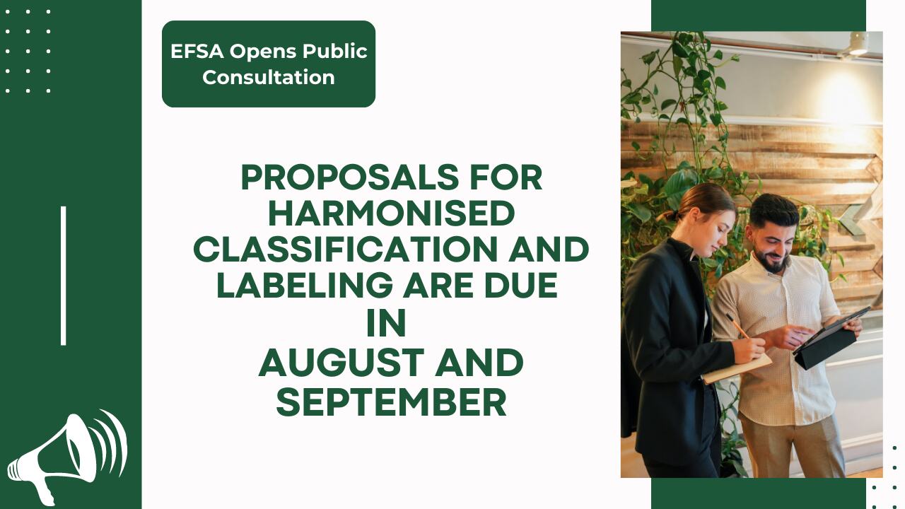Open public consultation