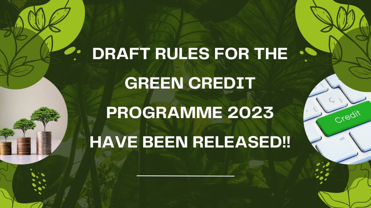 Draft rules for the green credit Programme