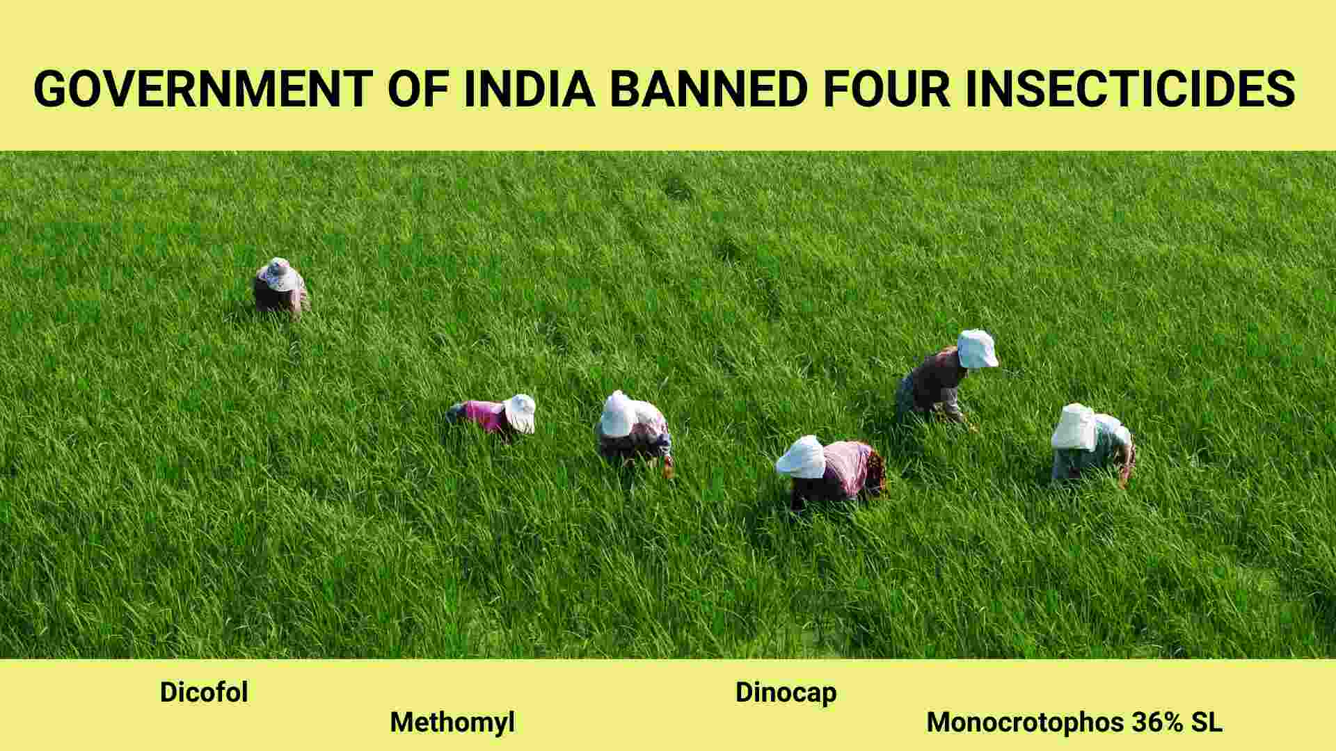 Indian Government Banned Harmful Insecticides