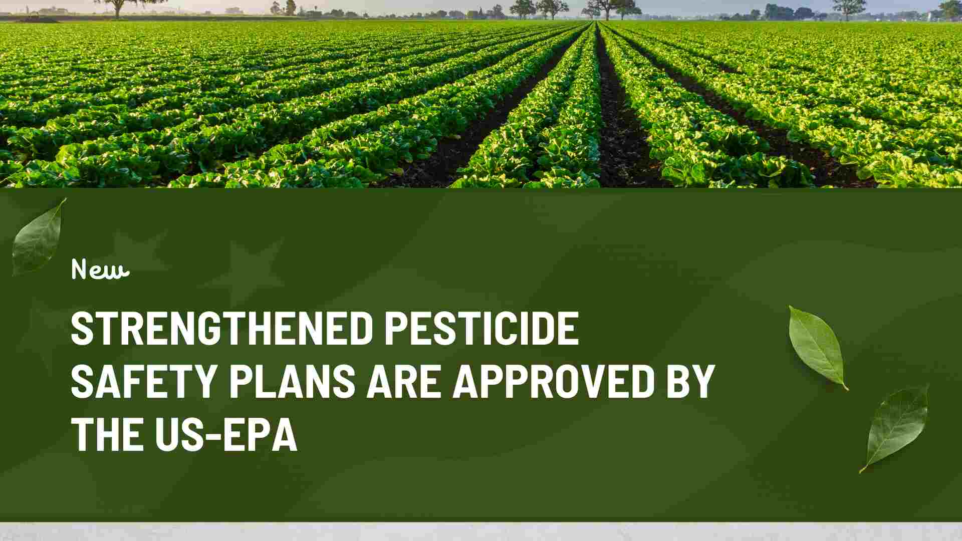 US EPA Approves Strengthened Pesticide Safety Plans for Certifying Applicators