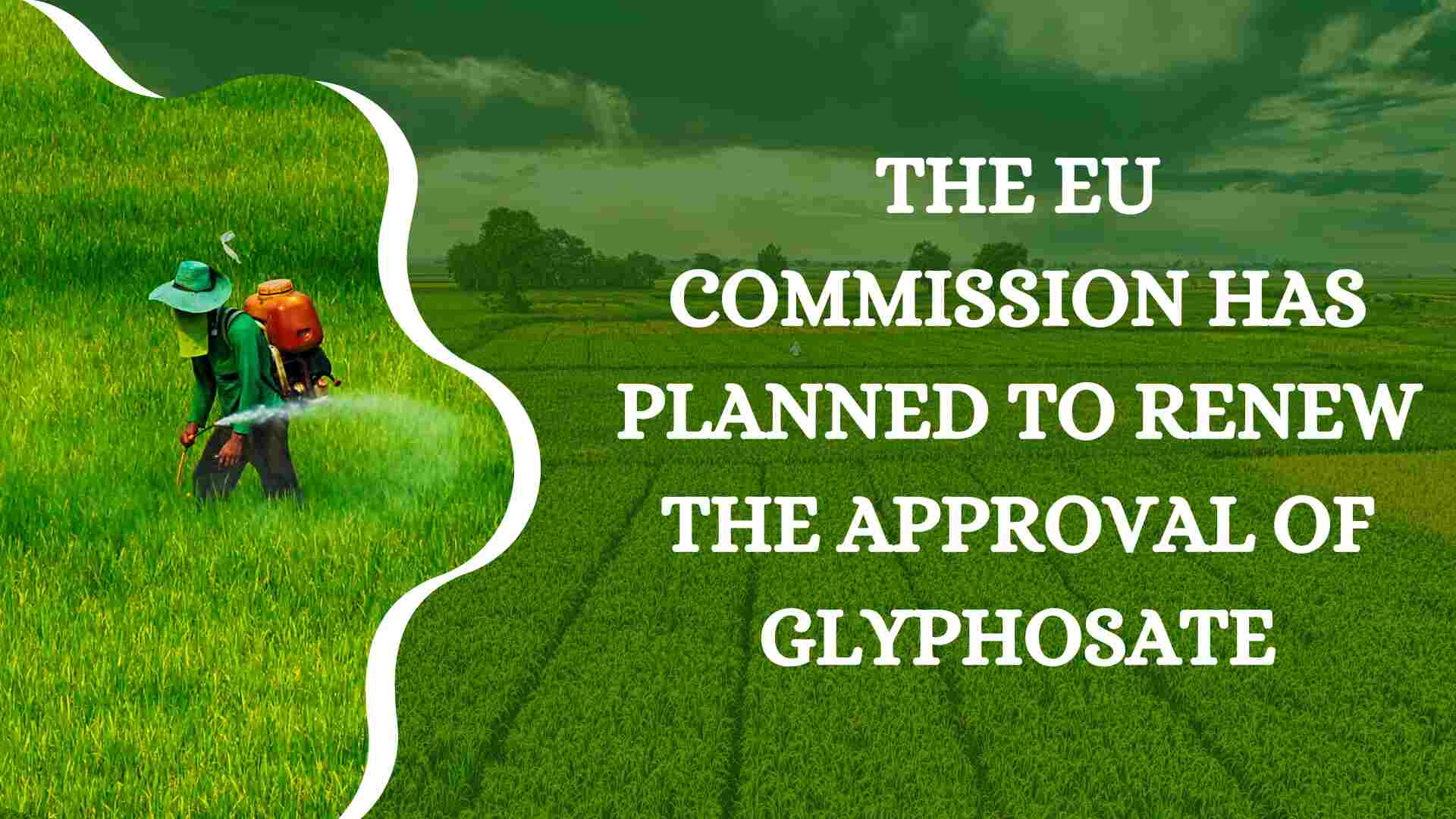 EU extends glyphosate approval for 10 years with stricter rules,