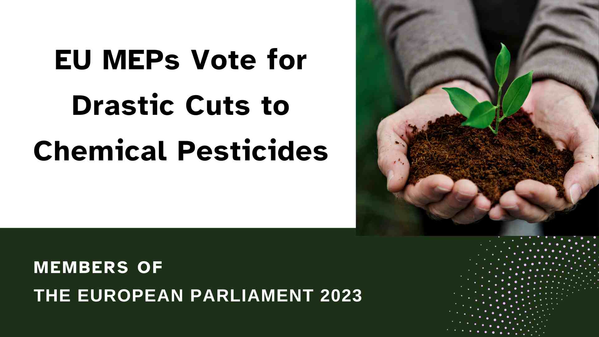 MEPs want the use of chemical pesticides to be drastically reduced