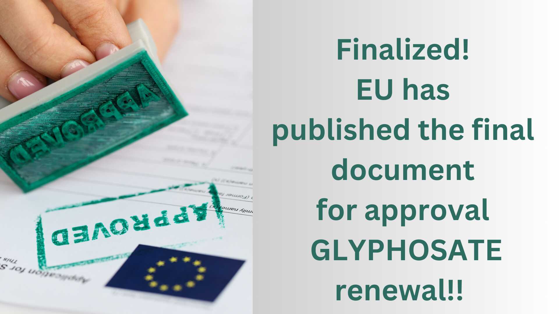 EU PUBLISHED THE FINAL DOCUMENT ON RENEWING THE APPROVAL OF THE ACTIVE SUBSTANCE GLYPHOSATE