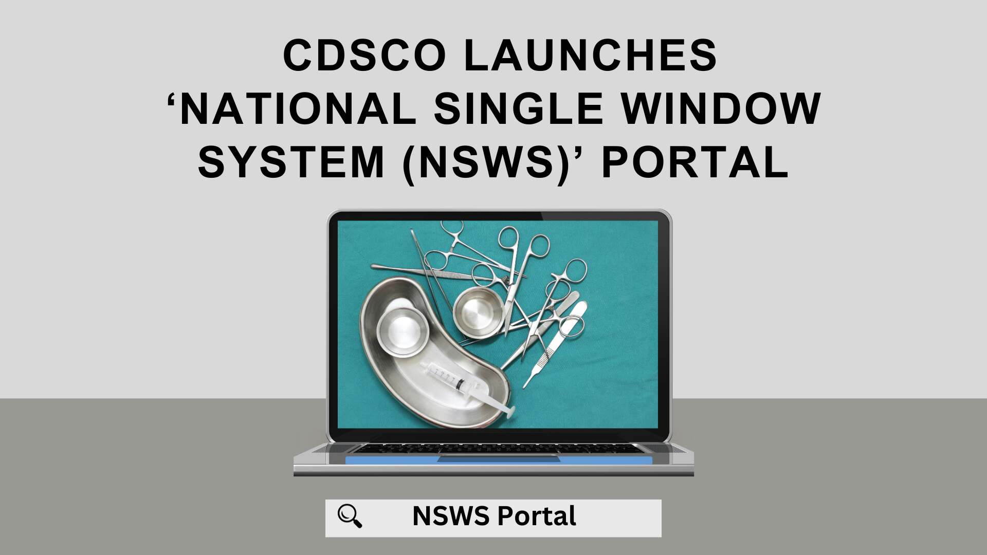 national single window system (NSWS) portal