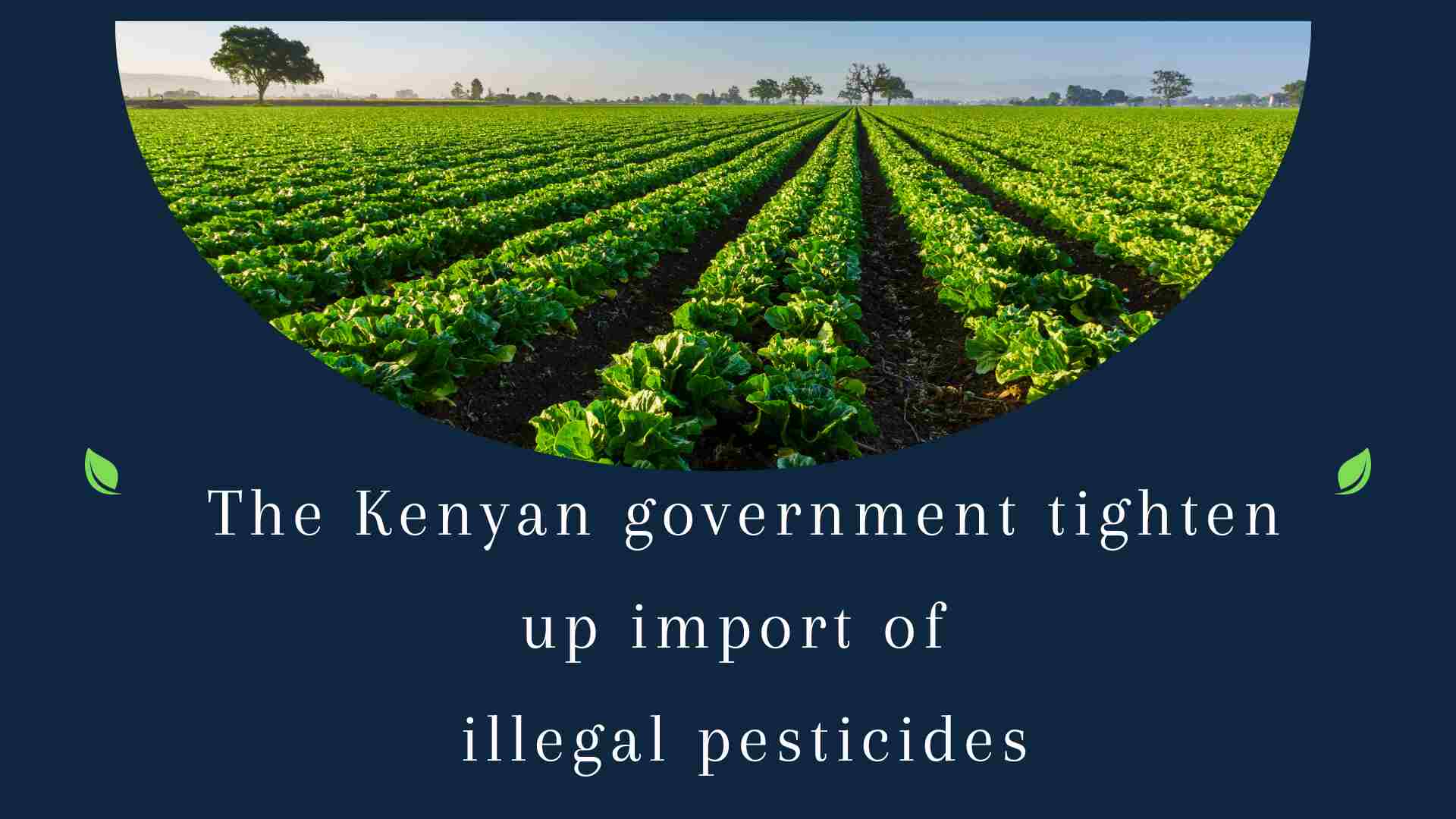 The Kenyan government tightens up import of illegal pesticides