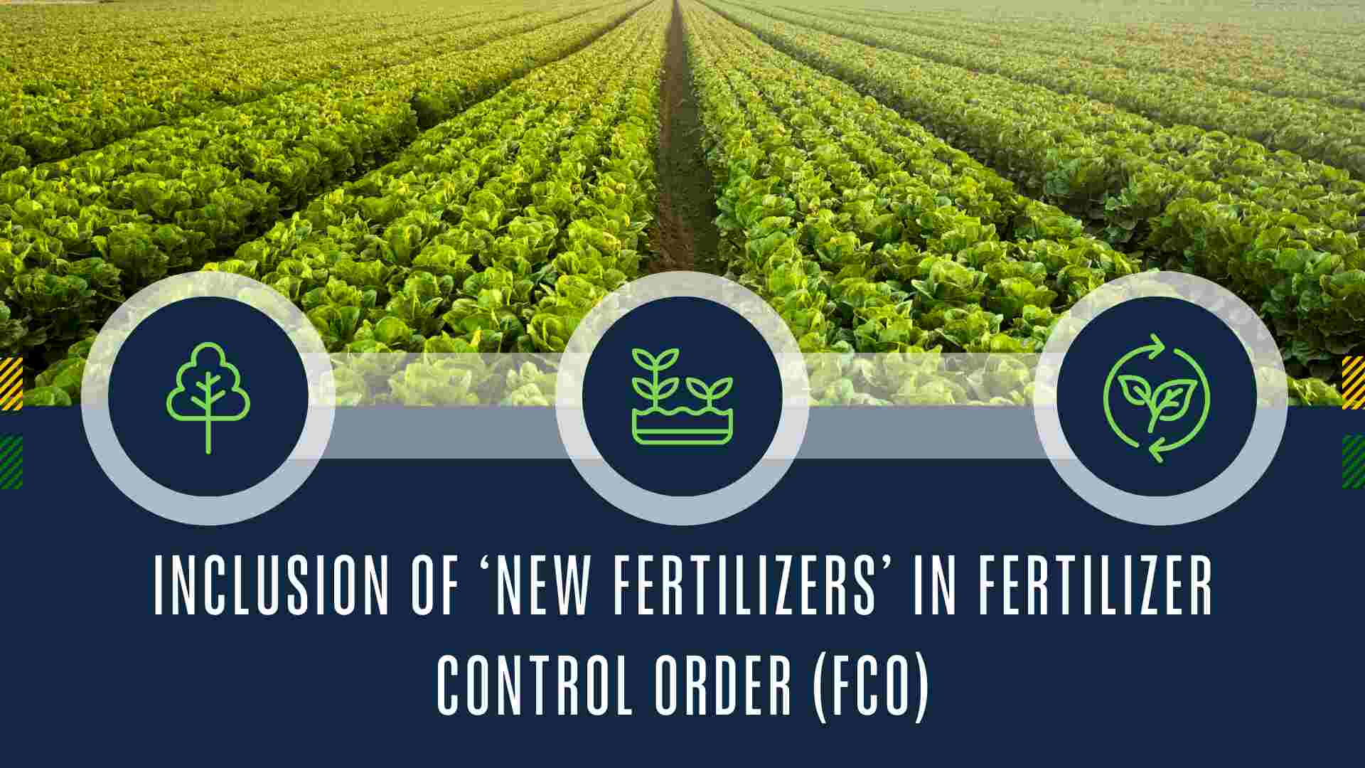 Fertilizer Options for Indian Farmers