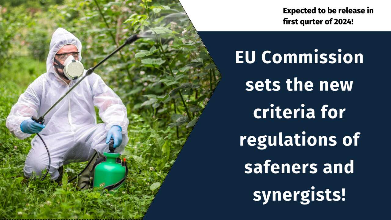 EU Commission sets the criteria for regulations of safeners and synergists