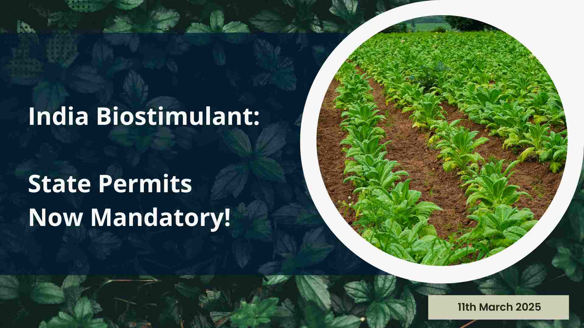 New Biostimulant Distribution Regulations: State-Level Authorization Now Mandatory