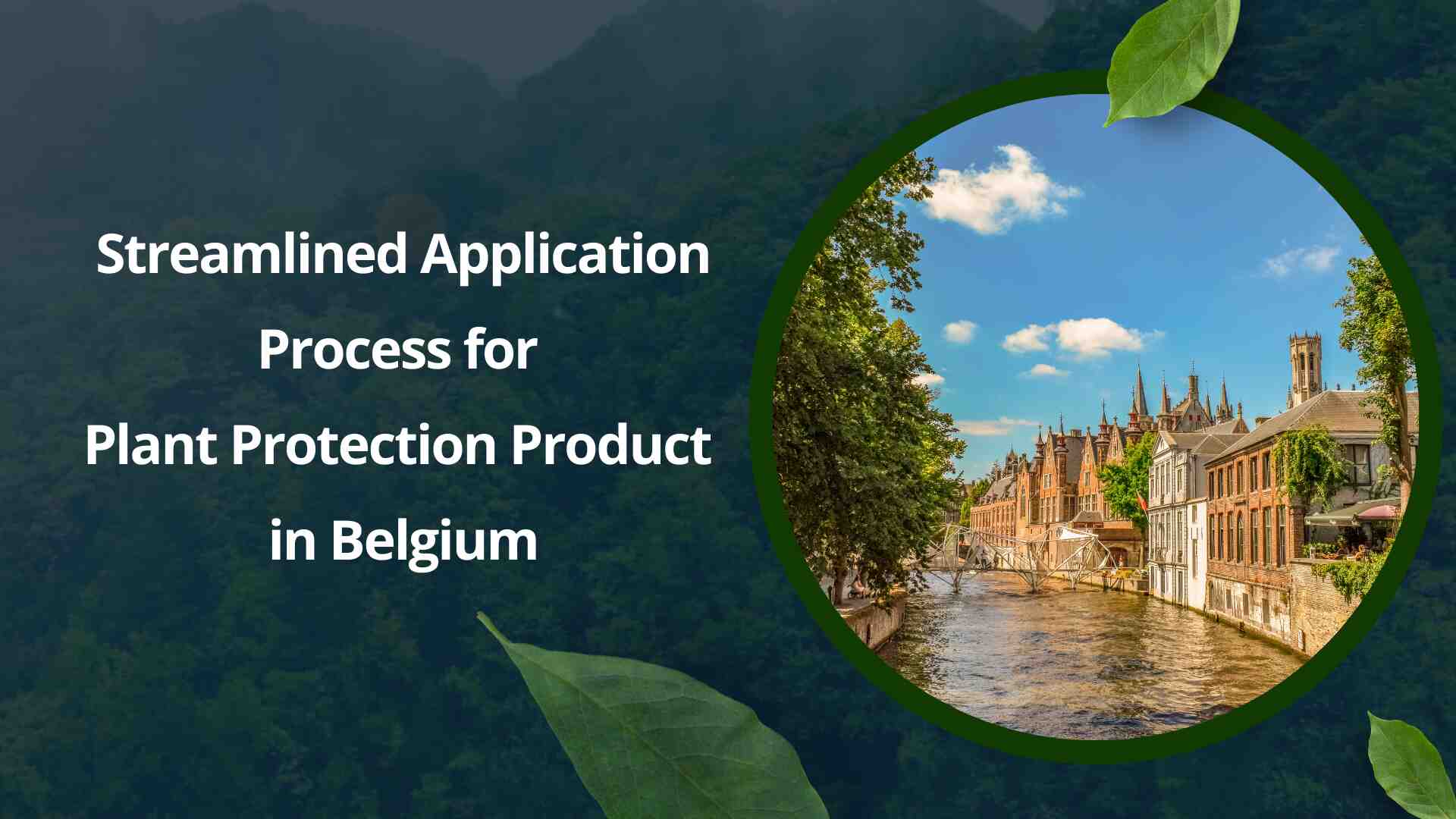 Streamlined Application Process for Plant Protection Product in Belgium