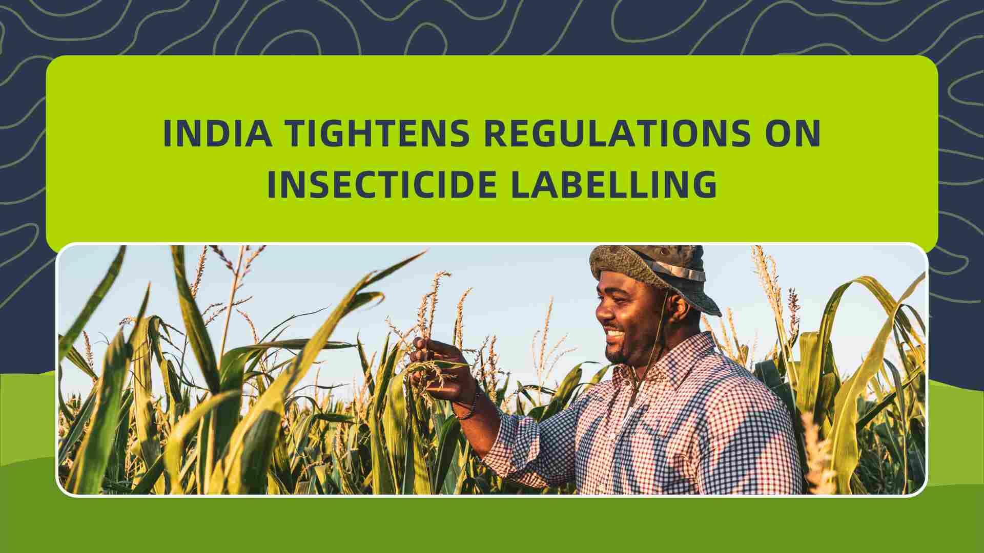Insecticide Labelling Rules India 2025
