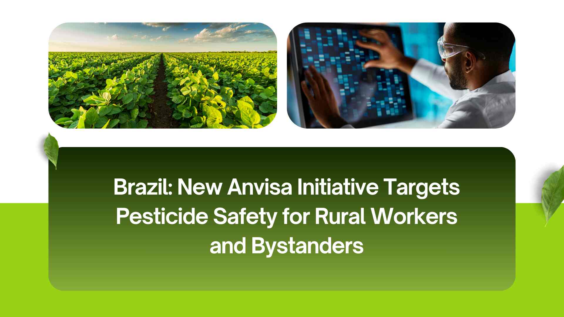 Anvisa Risk Assessment Portal