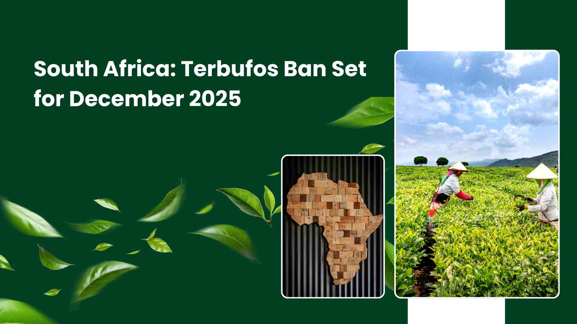 South Africa Terbufos Ban