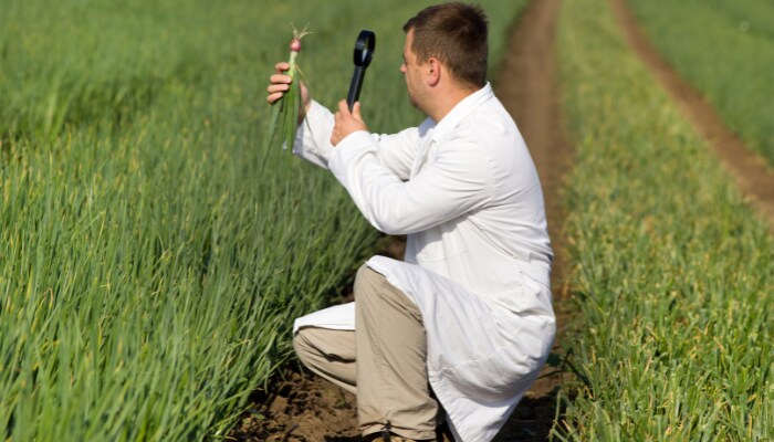 Importance of Field Trials in the Agriculture Industry