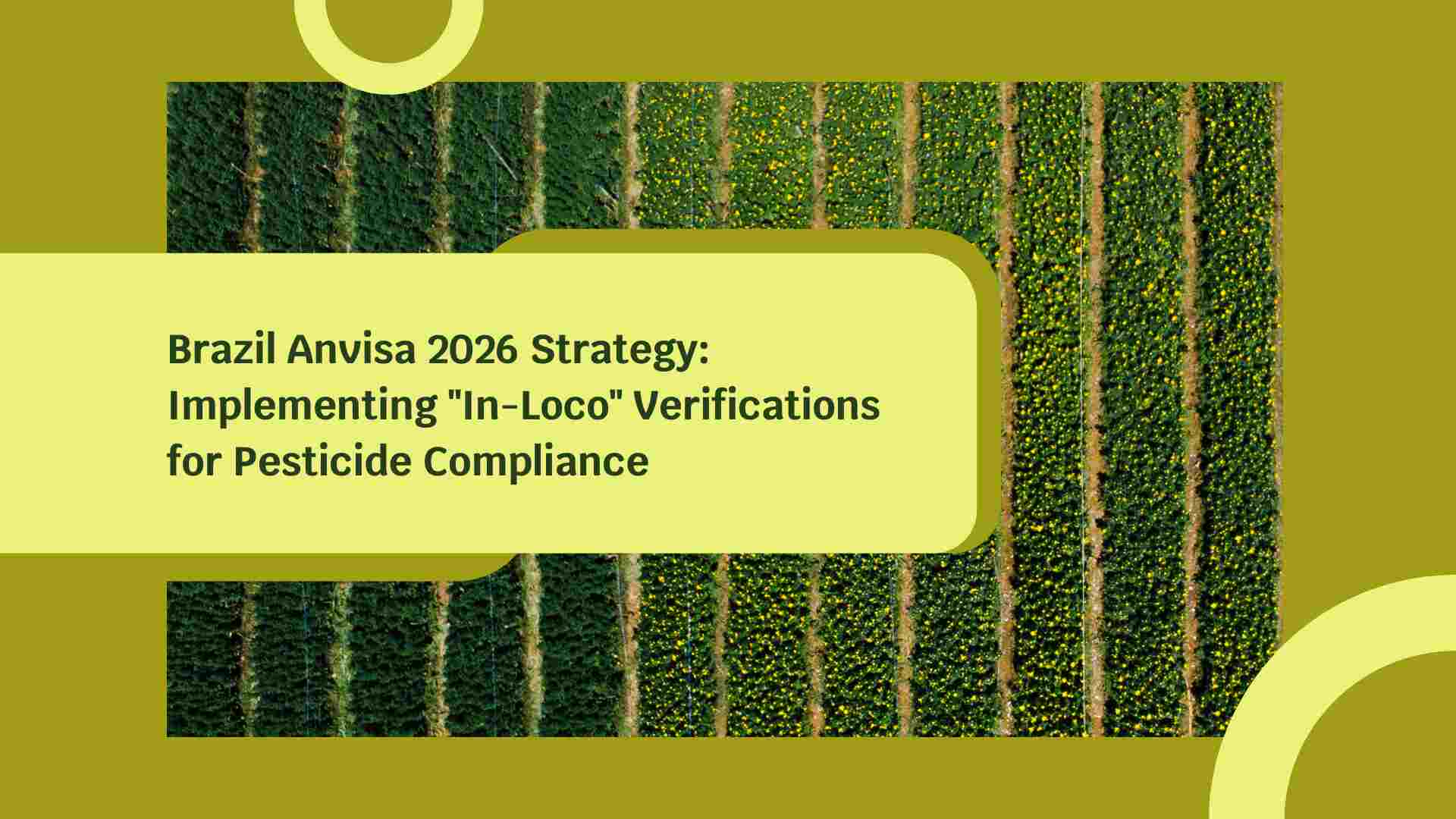 Brazil Anvisa 2026 Strategy