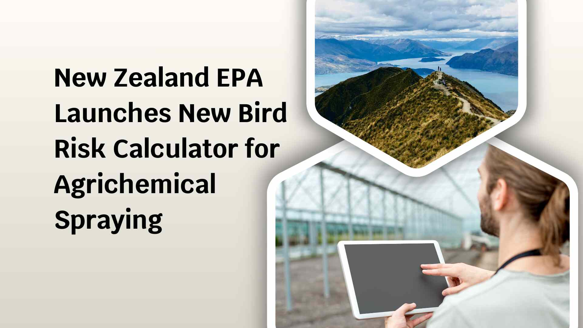 New Zealand EPA Launches Updated Bird Risk Calculator Tool